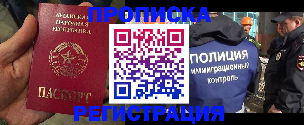 прописка поиск в Клинцах