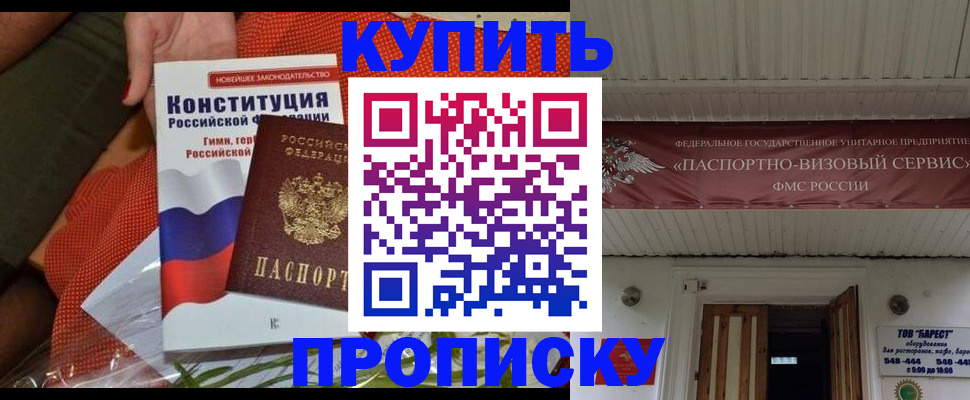 прописка поиск в Клинцах