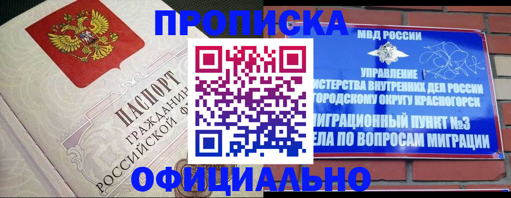 где прописаться в Клинцах
